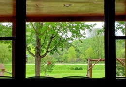 Watch the wildlife from your living room chair