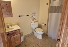 Walk-in shower (1 of 6 bathrooms)