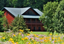 Watch the deer walk through the wildflower patch from your Big Timber deck