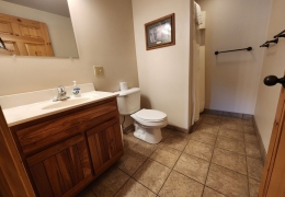 Walk-in shower (1 of 4 bathrooms)