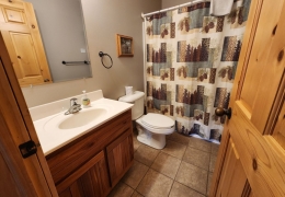 Bathroom (1 of 4 bathrooms)