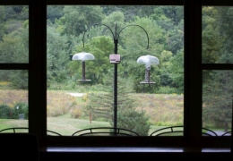 Birdwatch while sitting in the living room.