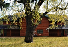 Separate entrances to Northwoods East and West cabins