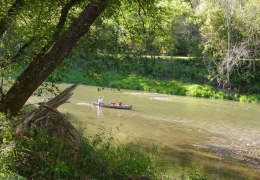 Peacefully quiet canoeing the Root River