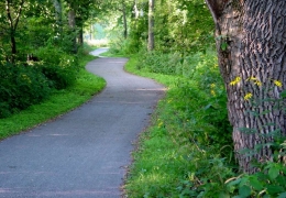 winding bike trail