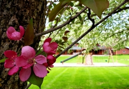 Spring is here!