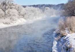 Root River
