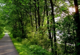 Walk or bike the paved trail