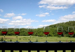 Weekends, Wine and Wonderful views from the Loon cabin at Cedar Valley Resort