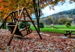 Fall in love with nature....