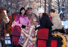 Horse drawn sleigh ride