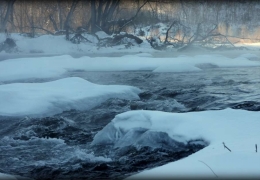 Root River