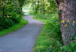 Paved bike trail full of twists and slow turns