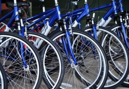 Bike Rentals (kids and adults)