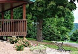Birdwatcher's paradise