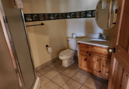 Walk-in shower (1 of 3 bathrooms)