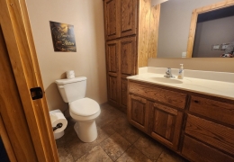 Main level hallway bathroom (1 of 4 bathrooms)