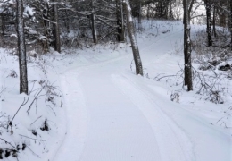 Peaceful winter walking trails