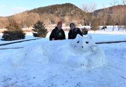 Building impressive snow sculptures