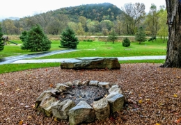 Outdoor firepit and picnic area