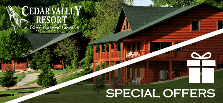 Current Specials & Discounts