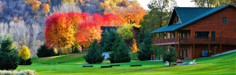 Leaf Your Worries Behind