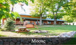 cabin rentals in Minnesota