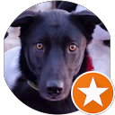 Sam Eiring profile picture